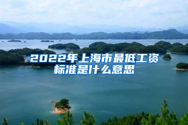 2022年上海市最低工资标准是什么意思