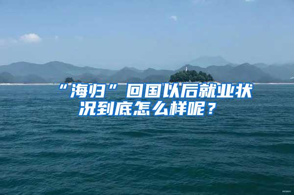 “海归”回国以后就业状况到底怎么样呢？