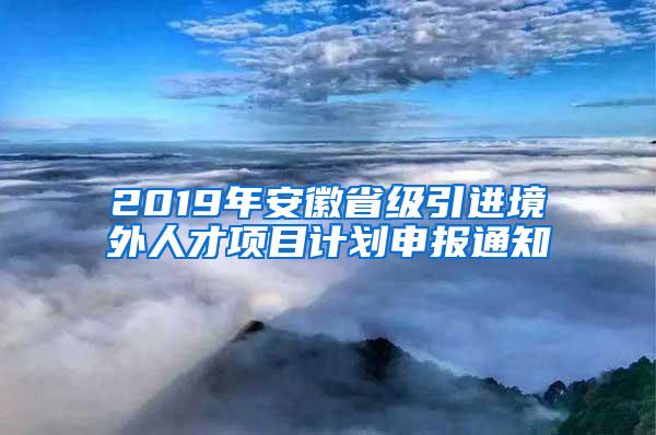 2019年安徽省级引进境外人才项目计划申报通知