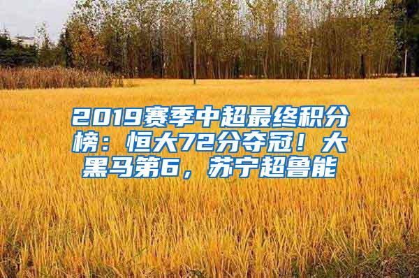 2019赛季中超最终积分榜：恒大72分夺冠！大黑马第6，苏宁超鲁能