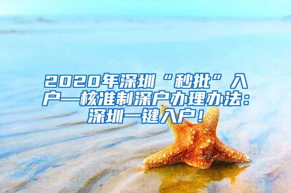 2020年深圳“秒批”入户—核准制深户办理办法：深圳一键入户！