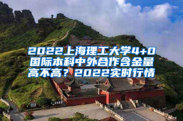 2022上海理工大学4+0国际本科中外合作含金量高不高？2022实时行情