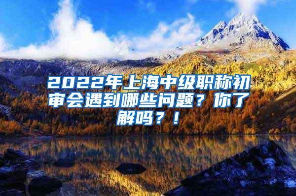 2022年上海中级职称初审会遇到哪些问题？你了解吗？!