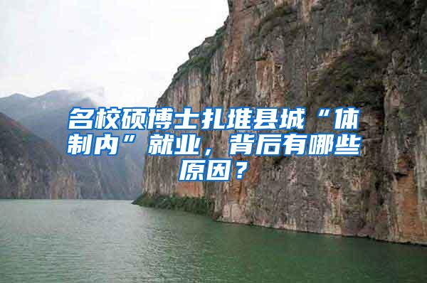 名校硕博士扎堆县城“体制内”就业，背后有哪些原因？