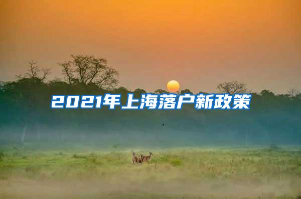 2021年上海落户新政策