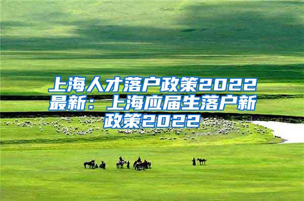 上海人才落户政策2022最新：上海应届生落户新政策2022