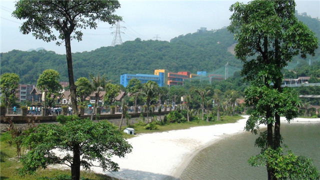 深圳龙岗户口有补助吗