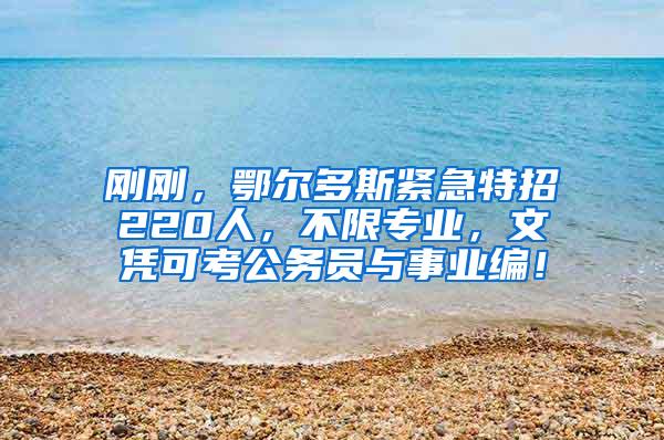 刚刚，鄂尔多斯紧急特招220人，不限专业，文凭可考公务员与事业编！