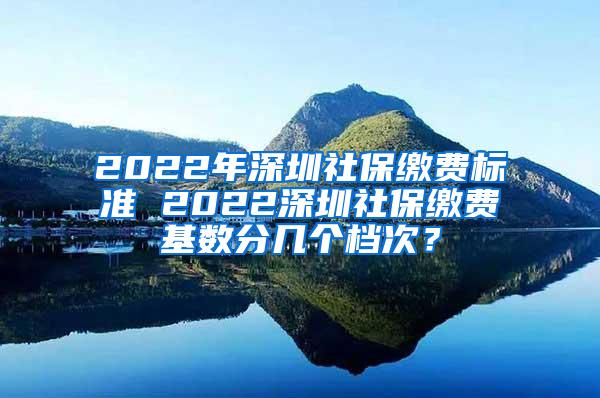 2022年深圳社保缴费标准 2022深圳社保缴费基数分几个档次？