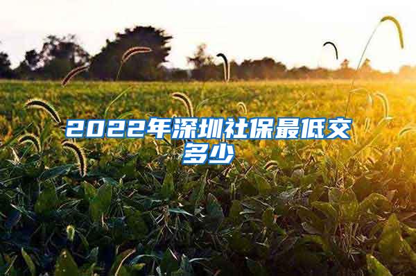 2022年深圳社保最低交多少