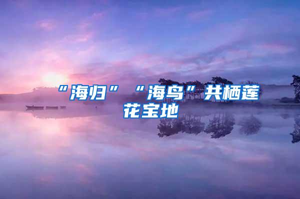 “海归”“海鸟”共栖莲花宝地