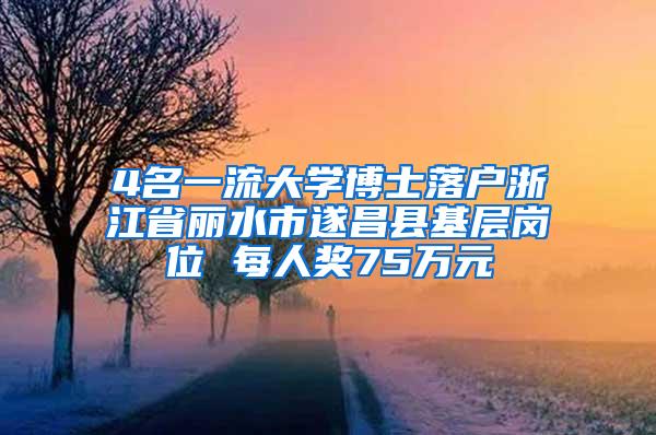 4名一流大学博士落户浙江省丽水市遂昌县基层岗位 每人奖75万元