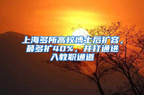 上海多所高校博士后扩容，最多扩40%，并打通进入教职通道