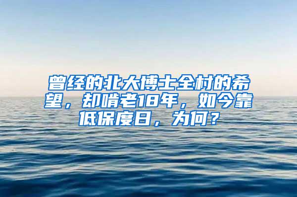 曾经的北大博士全村的希望，却啃老18年，如今靠低保度日，为何？