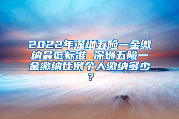 2022年深圳五险一金缴纳最低标准 深圳五险一金缴纳比例个人缴纳多少？