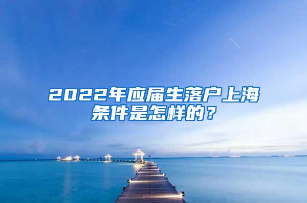 2022年应届生落户上海条件是怎样的？