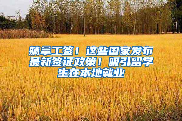 躺拿工签！这些国家发布最新签证政策！吸引留学生在本地就业