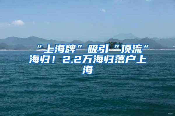 “上海牌”吸引“顶流”海归！2.2万海归落户上海