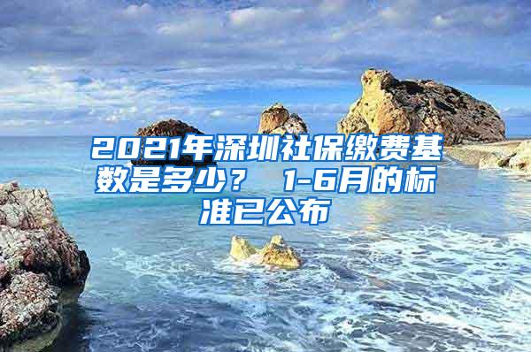 2021年深圳社保缴费基数是多少？ 1-6月的标准已公布