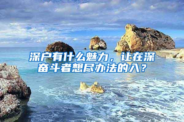 深户有什么魅力，让在深奋斗者想尽办法的入？