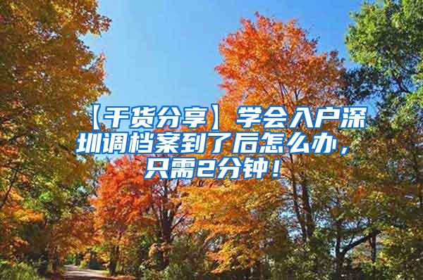 【干货分享】学会入户深圳调档案到了后怎么办，只需2分钟！