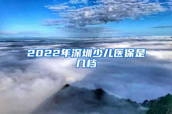 2022年深圳少儿医保是几档