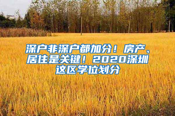 深户非深户都加分！房产、居住是关键！2020深圳这区学位划分
