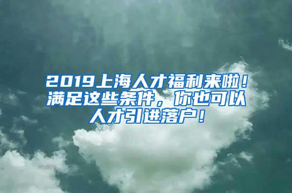 2019上海人才福利来啦！满足这些条件，你也可以人才引进落户！