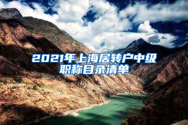 2021年上海居转户中级职称目录清单