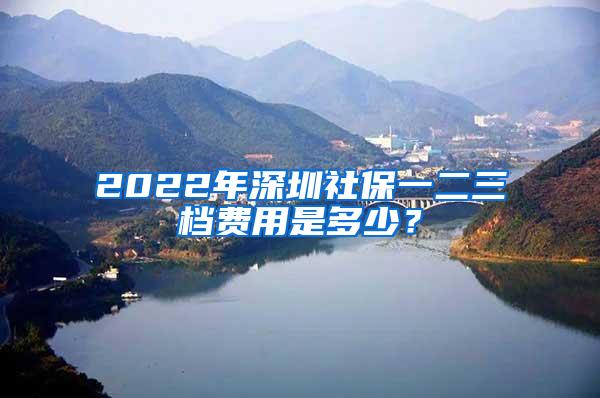 2022年深圳社保一二三档费用是多少？