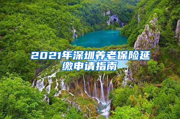 2021年深圳养老保险延缴申请指南