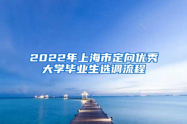 2022年上海市定向优秀大学毕业生选调流程