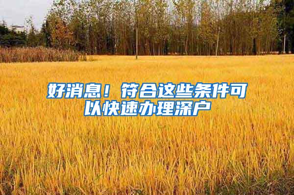 好消息！符合这些条件可以快速办理深户