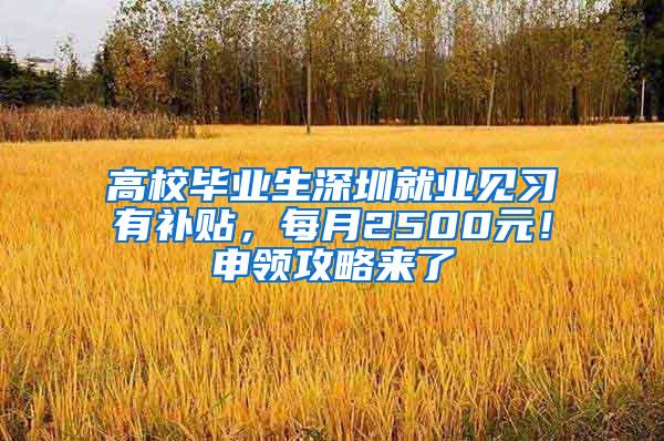 高校毕业生深圳就业见习有补贴，每月2500元！申领攻略来了