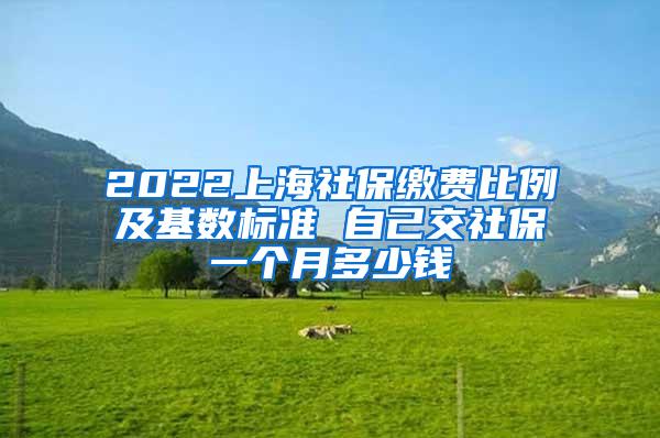 2022上海社保缴费比例及基数标准 自己交社保一个月多少钱