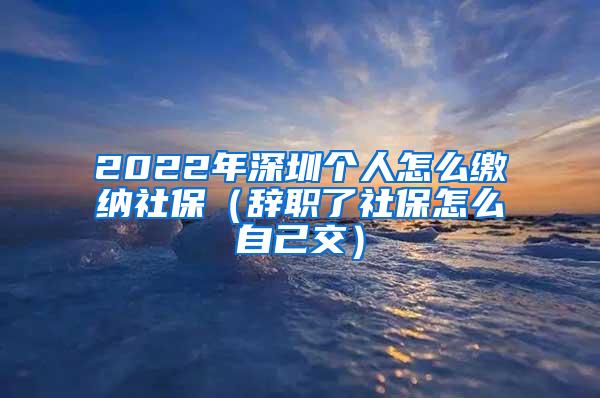 2022年深圳个人怎么缴纳社保（辞职了社保怎么自己交）