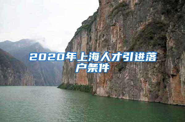 2020年上海人才引进落户条件
