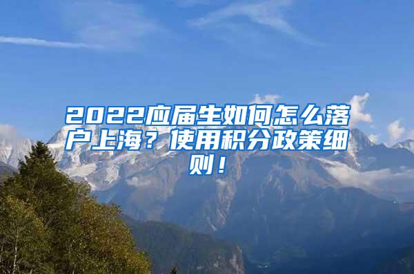 2022应届生如何怎么落户上海？使用积分政策细则！