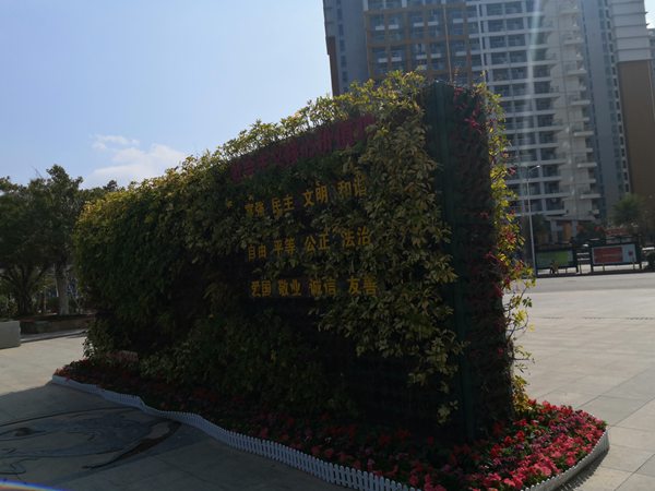 深圳积分入户无房怎样落户