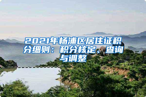 2021年杨浦区居住证积分细则：积分核定、查询与调整