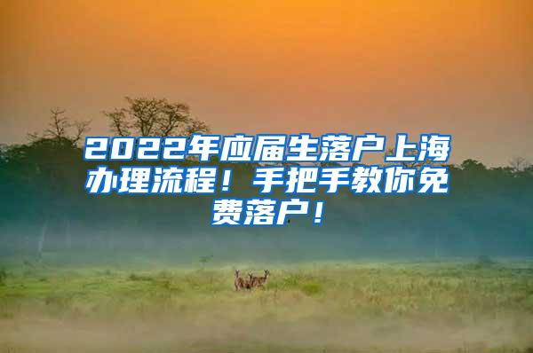 2022年应届生落户上海办理流程！手把手教你免费落户！