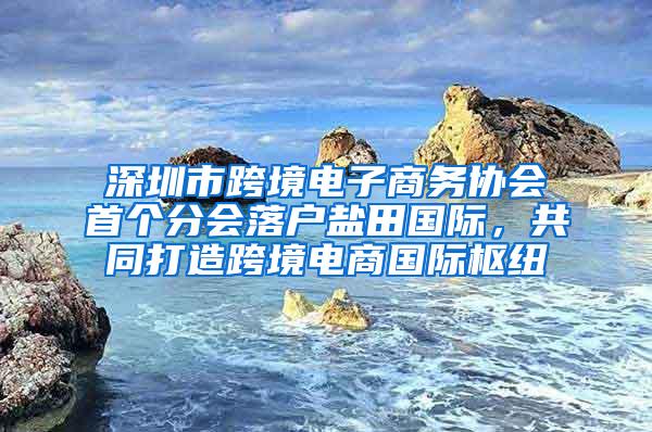 深圳市跨境电子商务协会首个分会落户盐田国际，共同打造跨境电商国际枢纽