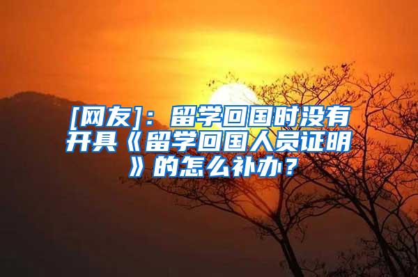 [网友]：留学回国时没有开具《留学回国人员证明》的怎么补办？