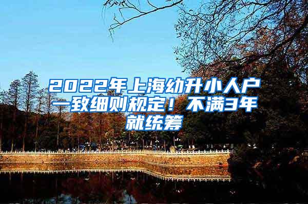 2022年上海幼升小人户一致细则规定！不满3年就统筹