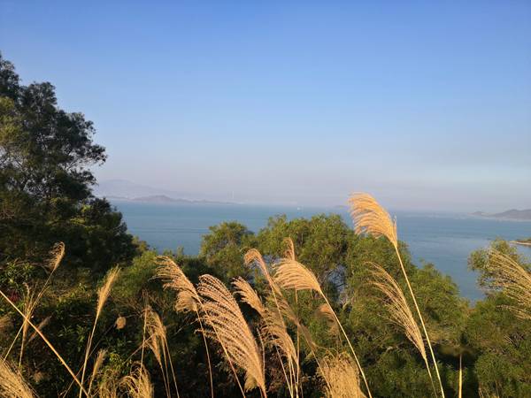 转深圳户口流程应届毕业生