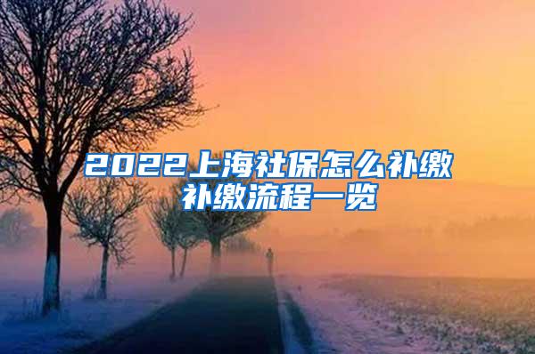 2022上海社保怎么补缴 补缴流程一览