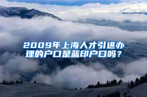 2009年上海人才引进办理的户口是蓝印户口吗？