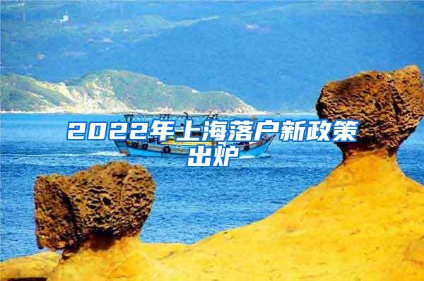 2022年上海落户新政策出炉