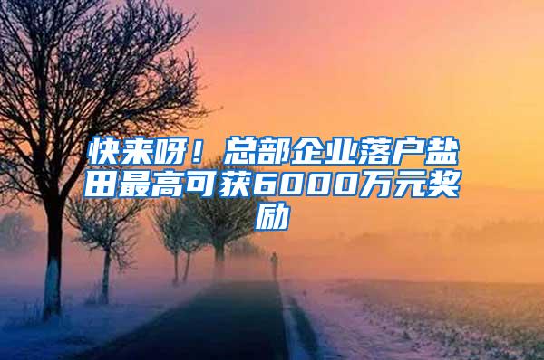 快来呀！总部企业落户盐田最高可获6000万元奖励