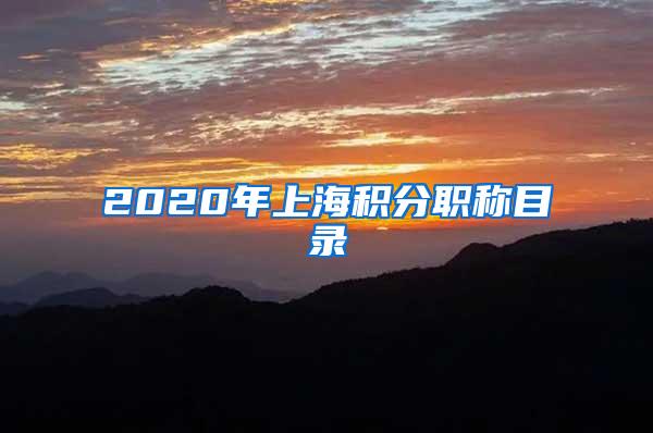 2020年上海积分职称目录